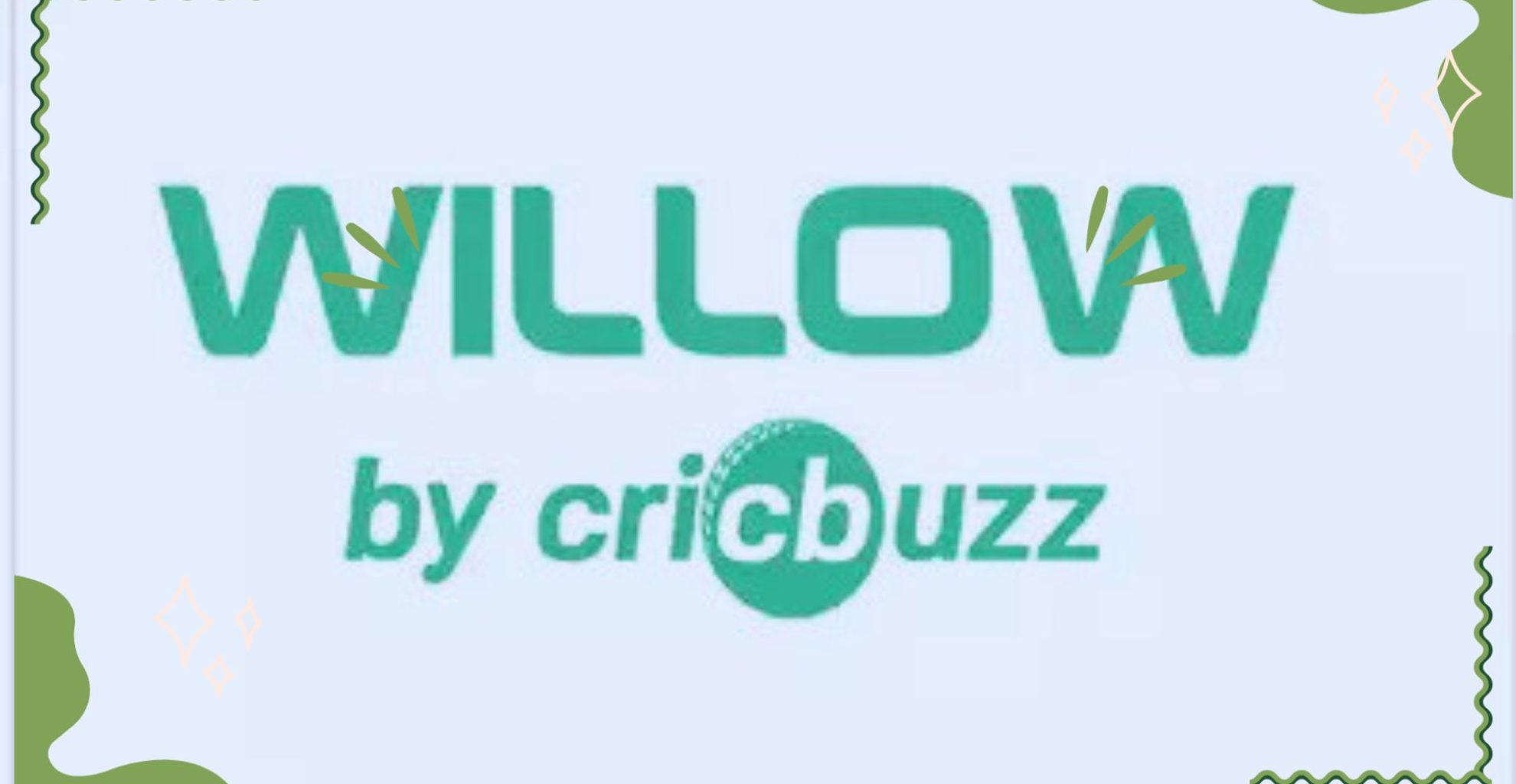 Willow Cricket