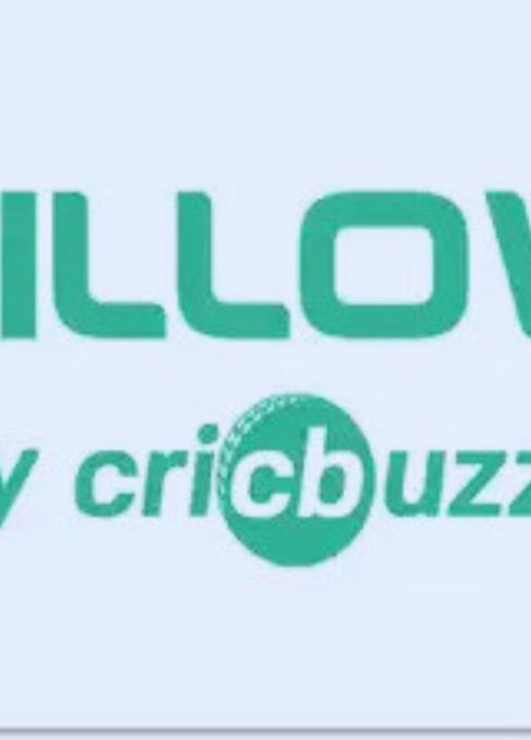 Willow Cricket