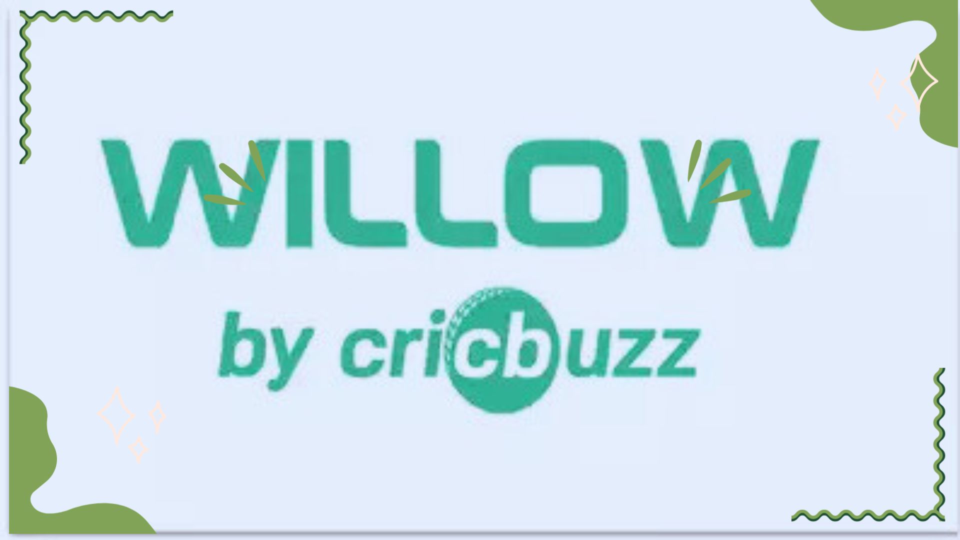 Willow Cricket